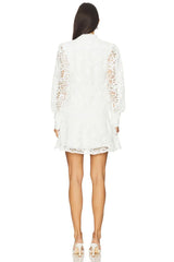 Remy Embroidered Mini Dress