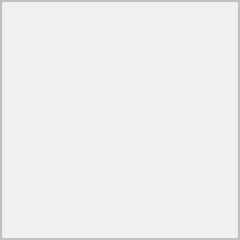 Blank Icon